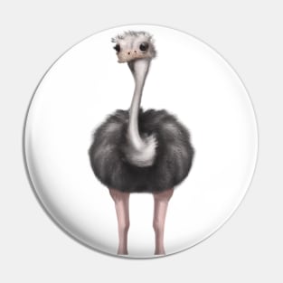 Cute Ostrich Drawing Pin