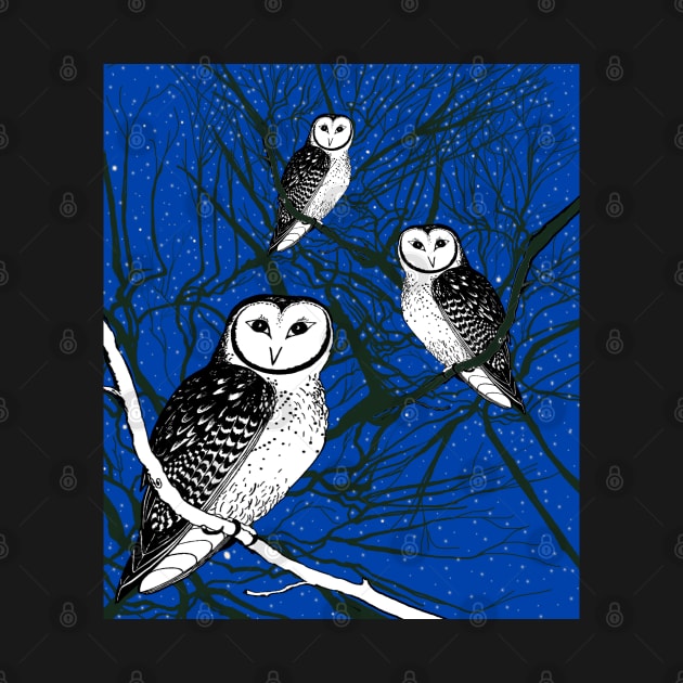 Owls on a Starry Night by topologydesign