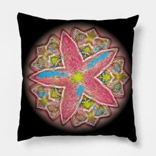 Kaleidoscope Star Colorful Art Design Pillow