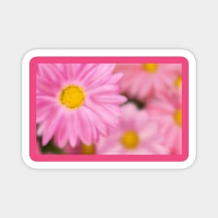 Airbrushed Pink Flowers Magnet