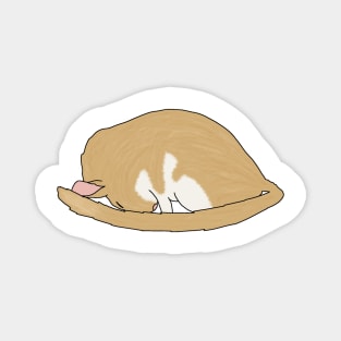 Cute sleeping golden gerbil Magnet