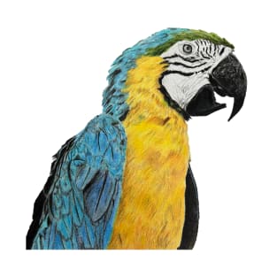 Parrot Drawing T-Shirt