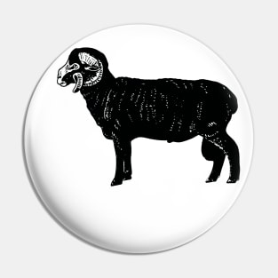 Black Sheep Pin