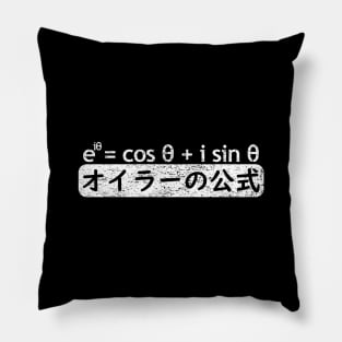 EULER'S FORMULA in Japanese Pillow