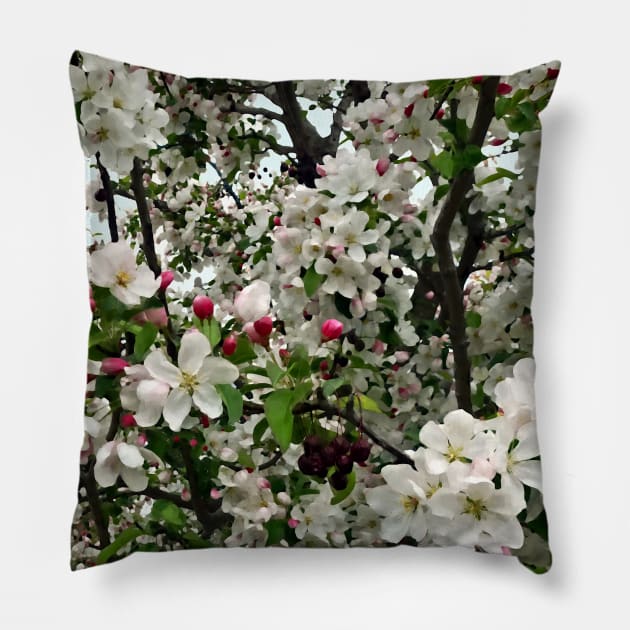 Apple Tree In Bloom Pillow by SusanSavad