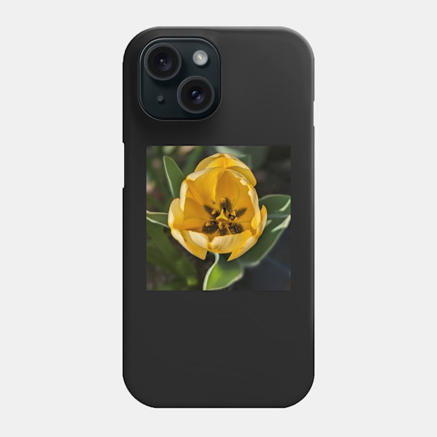 Yellow Tulip Center Phone Case by AustaArt