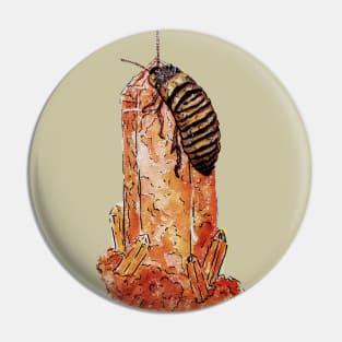 Halloween Hisser Pin