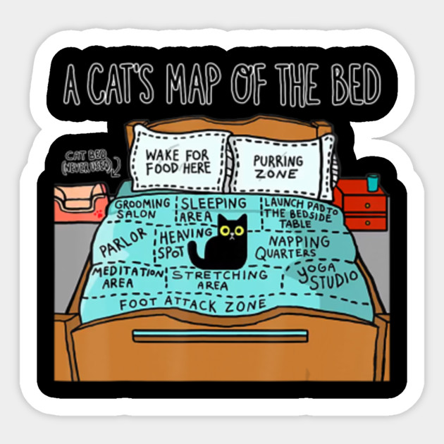 A Cat S Map Of The Bed Funny Cat Lover A Cats Map Of The Bed