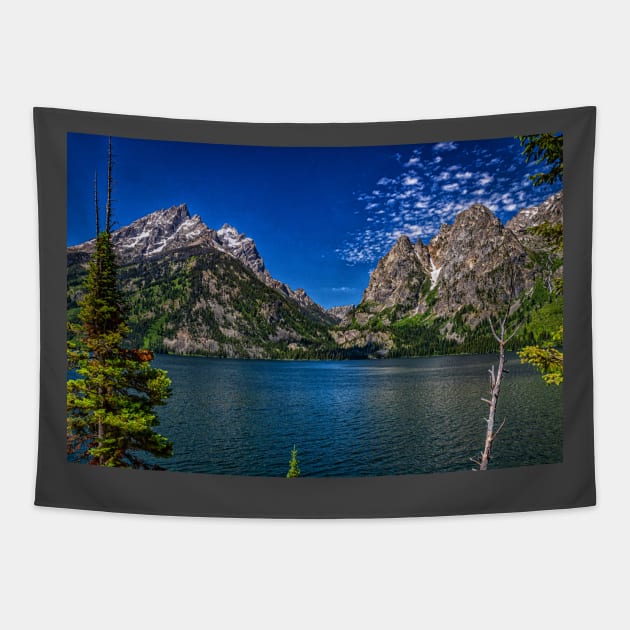 Jenny Lake Grand Teton National Park Tapestry by Gestalt Imagery