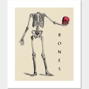 Skeleton of a Dog Vintage Canine Anatomy Print Antique Bones Skeleton Wall  Art Veterinarian and Doctor Gift 