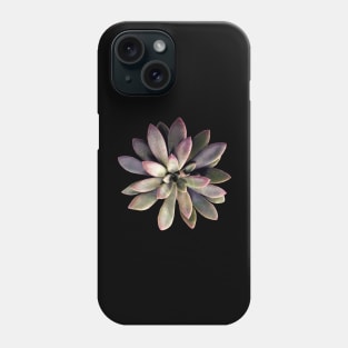 Suculenta Echeveria Carnicolor Phone Case