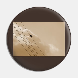 Pretty single bird on a wire, Blackbird silhouette photography Pin