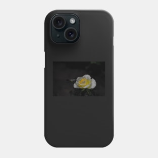 White rose blossom with bright yellow center on black background Phone Case