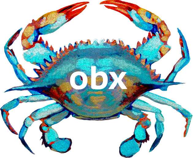 OBX Blue Crab Kids T-Shirt by Trent Tides