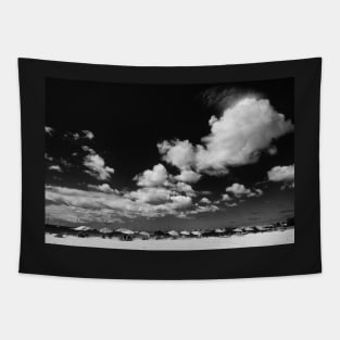 Tropical Beach in Black and White Tapestry