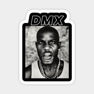 DMX Magnet