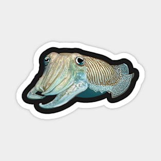 Cuttlefish 3 Magnet