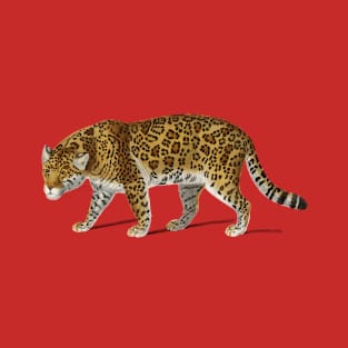 Vintage Jaguar png wild animal, T-Shirt