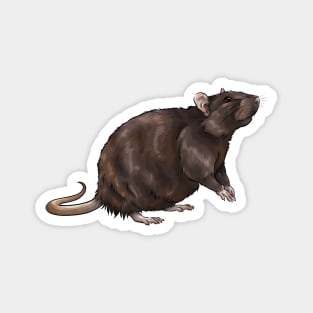 Cute Brown Rat Magnet