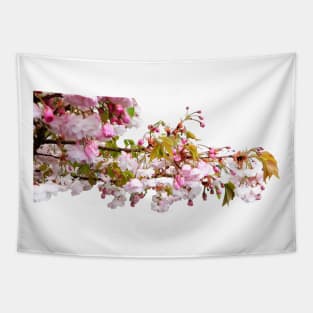 Spring Glory Tapestry