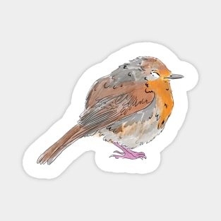 Robin Magnet