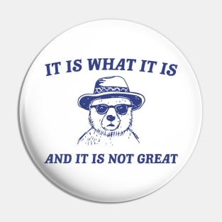 It Is What It Is And It Is Not Great Pin