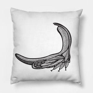 Treehopper Ink Art - cool and fun insect design - on white Pillow