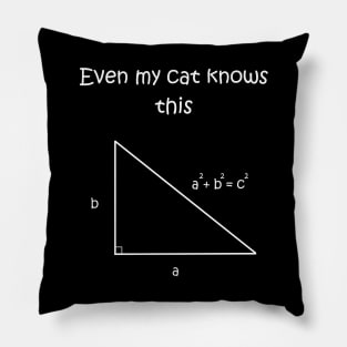 Even my cat knows Pythagorean theorem Pillow
