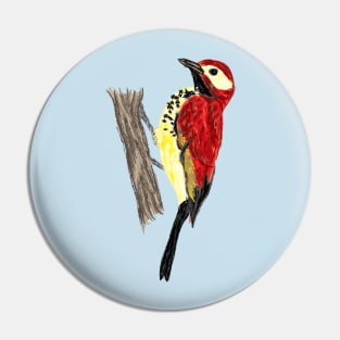 Artwork of a Crimson-Mantled Woodpecker I Pin