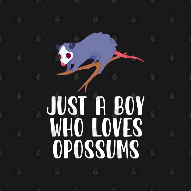 Just A Boy Who Loves Opossums by simonStufios