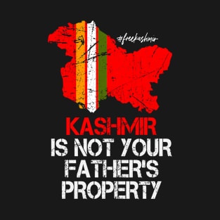 #freekashmir Give Kashmir To Kashmiri - I Stand With Kashmir T-Shirt