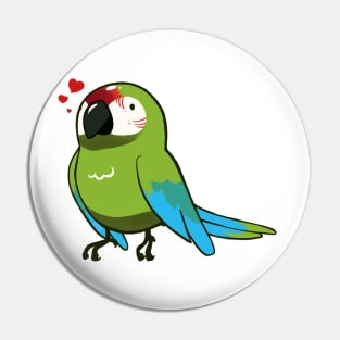 Macaw 4 Pin