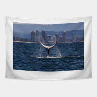 Humpback Whale Tail Slapping off Surfers Paradise Tapestry