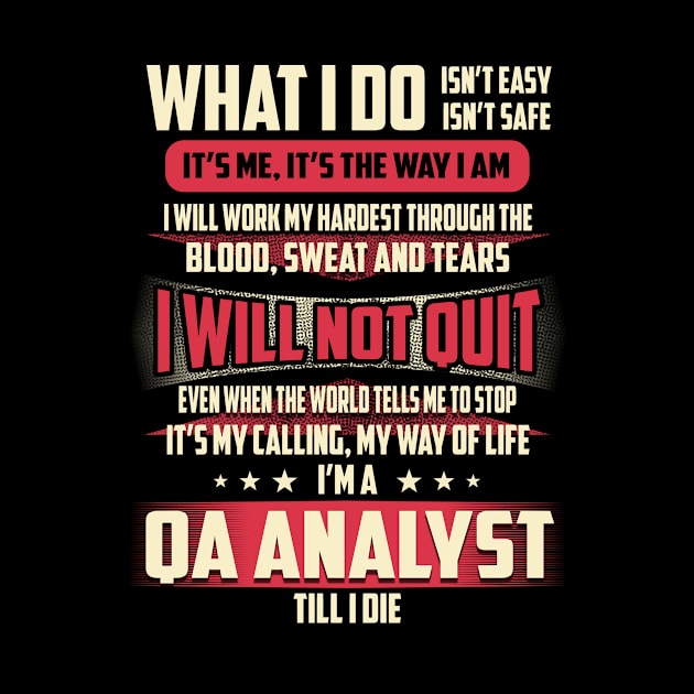 Qa Analyst What i Do by Rento