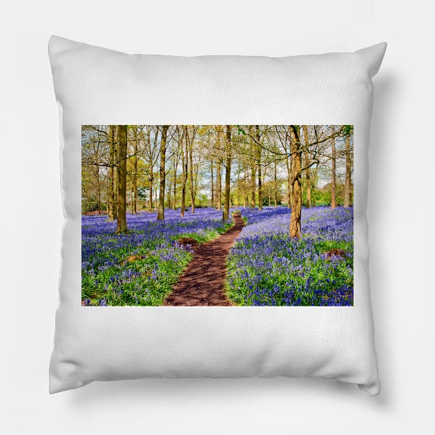 Bluebell Woods Greys Court England UK Pillow by AndyEvansPhotos