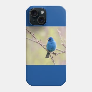 Indigo, Bunting No.2 Phone Case