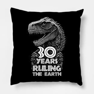 30th Anniversary - Dinosaur Lovers Birthday Pillow