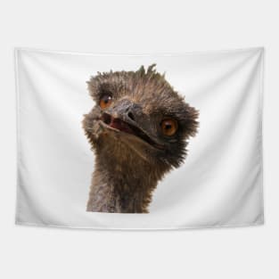 Emu Tapestry