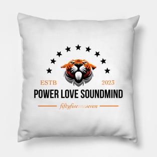 ESTABLISHED Pillow