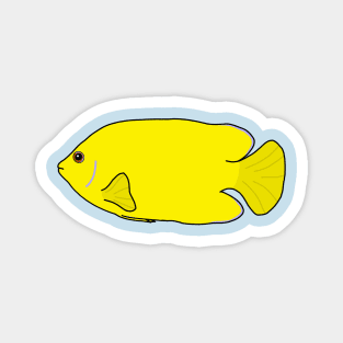 Lemon Peel Angelfish Magnet
