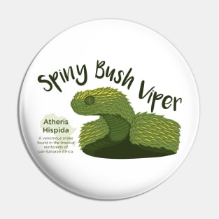 Spiny Bush Viper Pin