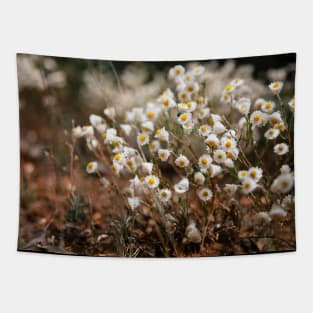 White Paper Daisy Flowers Tapestry