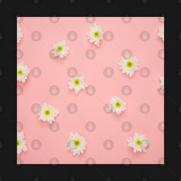 White flower, yellow and white flower, flowers background by Maroon55