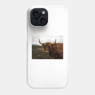 Scottish Highland Cattle Cow 2173 Phone Case