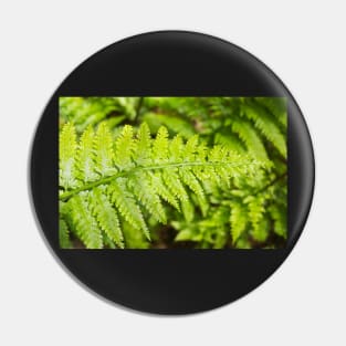 fern Pin