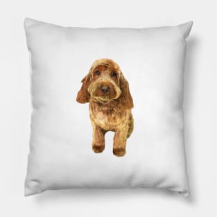 Cockapoo Cockerpoo Spoodle Cutie Doodle Dog Pillow