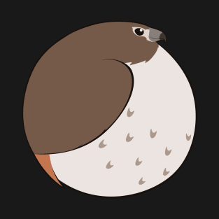 Bird Balls - Red tailed Hawk, Light Color Morph T-Shirt