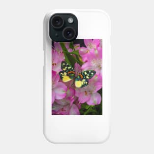 Rainbow Butterfly On Alstromeria Flowers Phone Case