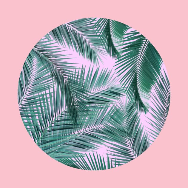 Palm Leaves by Vin Zzep