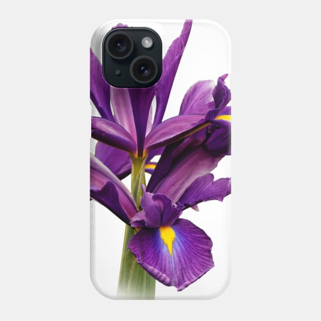 Elegant Dutch Iris Purple Sensation Phone Case by walkswithnature